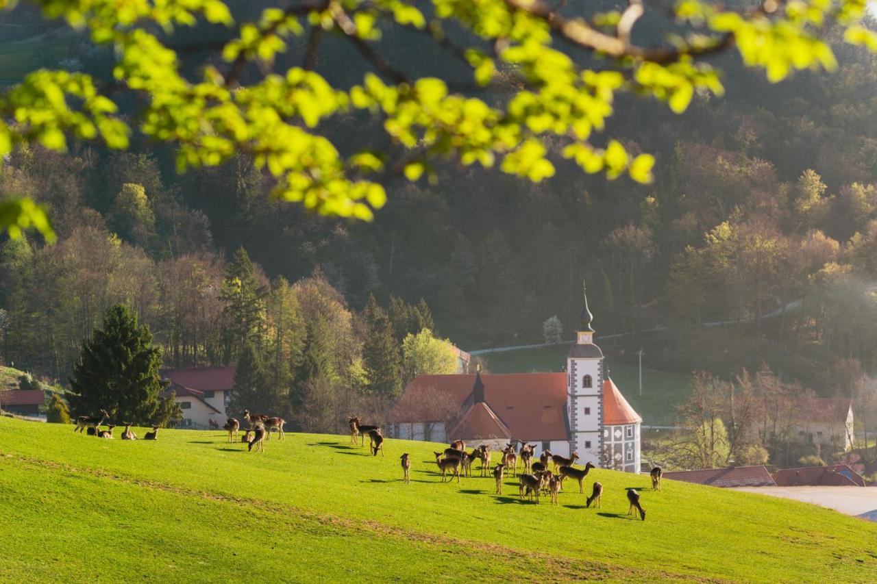 Guesthouse Jelenov Greben พอดเชเทอร์เทค ภายนอก รูปภาพ