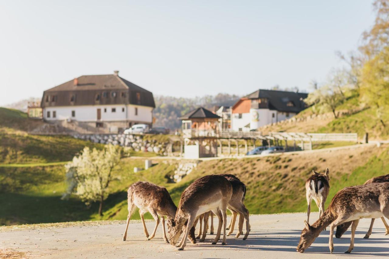 Guesthouse Jelenov Greben พอดเชเทอร์เทค ภายนอก รูปภาพ